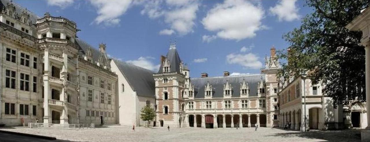 Superbe Appartement - L'Escapade Onzain Bagian luar foto
